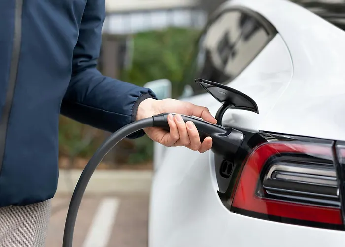 Sheraton Milan Malpensa Airport Hotel & Conference Centre Ferno